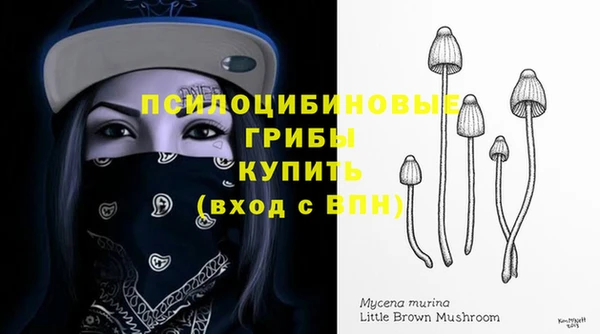 амф Аркадак