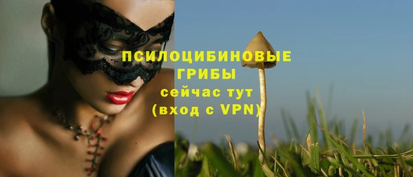 прущие крисы Арсеньев