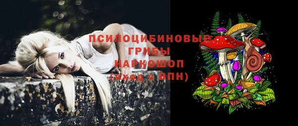 прущие крисы Арсеньев