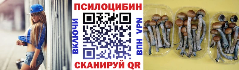 МЕГА зеркало  Старица  Псилоцибиновые грибы ЛСД 